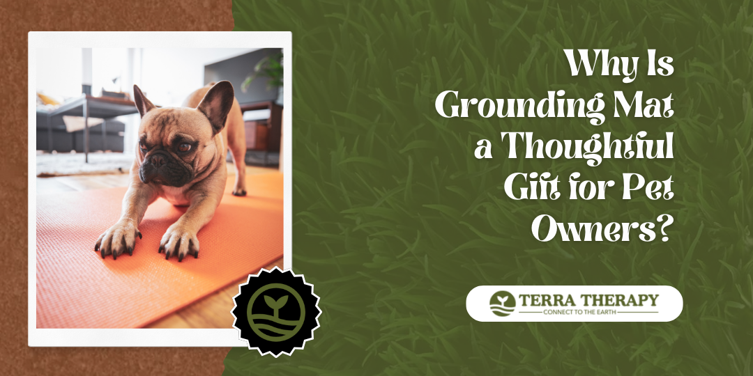 Why Is Grounding Mat a Thoughtful Gift for Pet Owners?