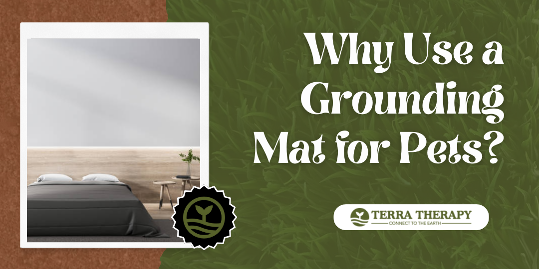 Why Use a Grounding Mat for Pets? - Terra Therapy