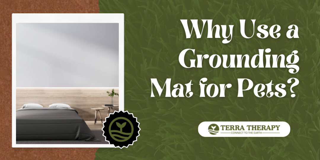 Why Use a Grounding Mat for Pets?