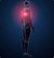 Musculoskeletal Pain & Inflammation